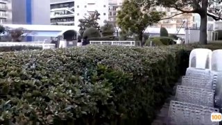 极品身材豪乳车展模特镜前跪舔吃屌 爆乳骑乘操 激战骑乘 淫叫连连不断